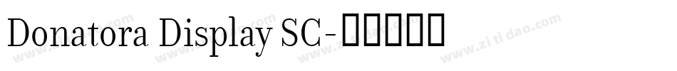 Donatora Display SC字体转换